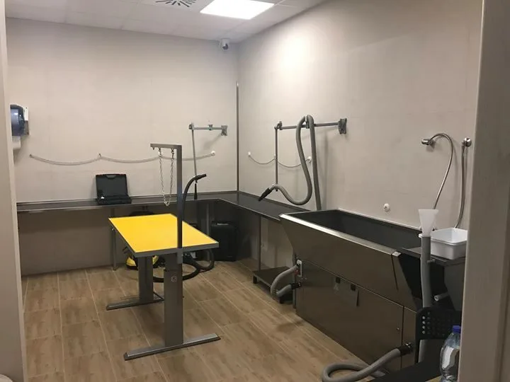 Sala toelettatura Qua la Zampa